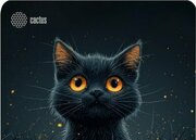 CACTUS Black Cat CS-MPC-D09S фото