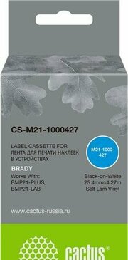 CACTUS CS-M21-1000427 фото